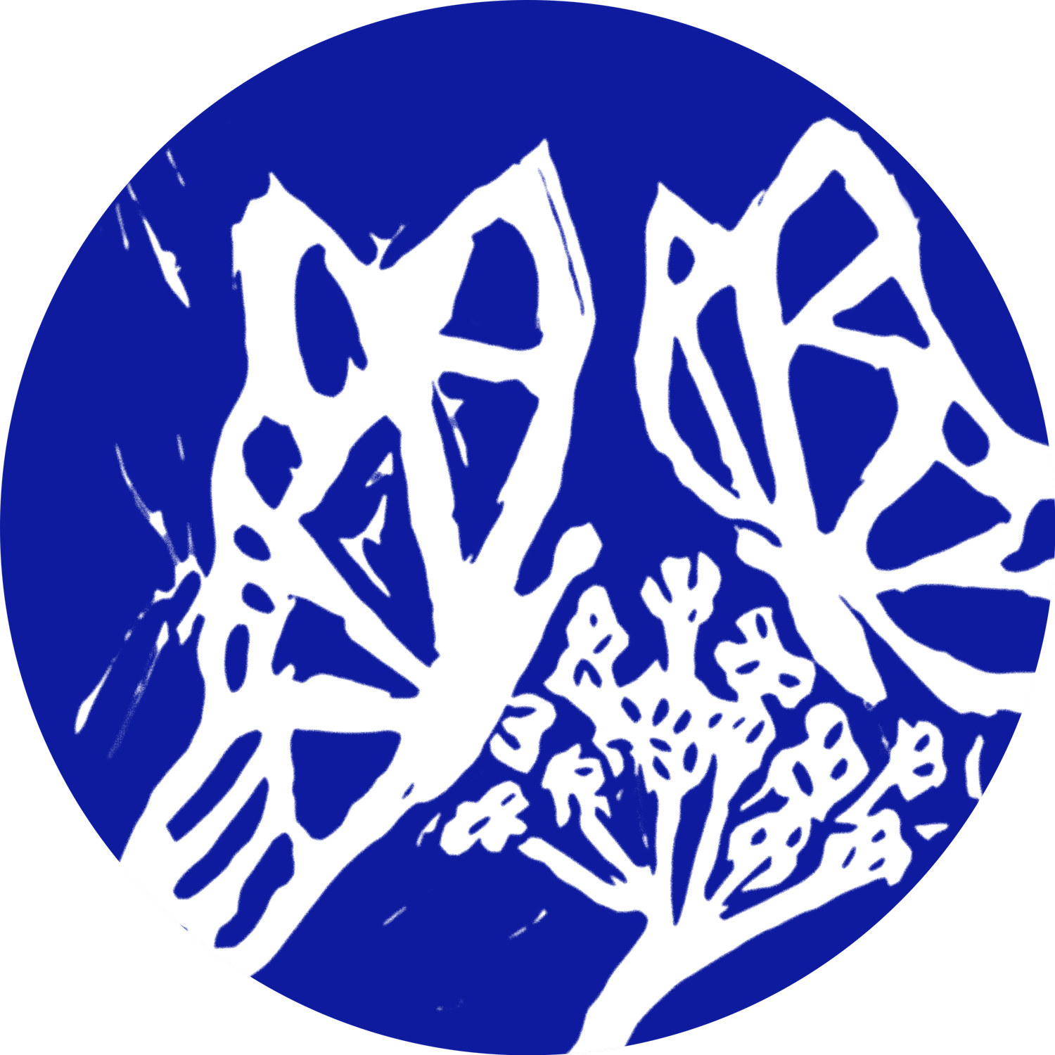 Boston Immigration Justice Accompaniment Network